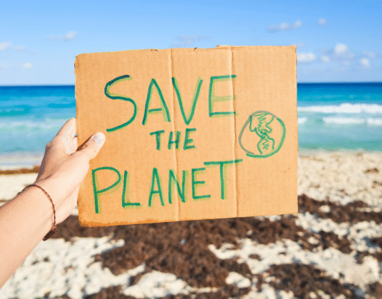 estudio sobre el sargazo en el Caribe mexicano